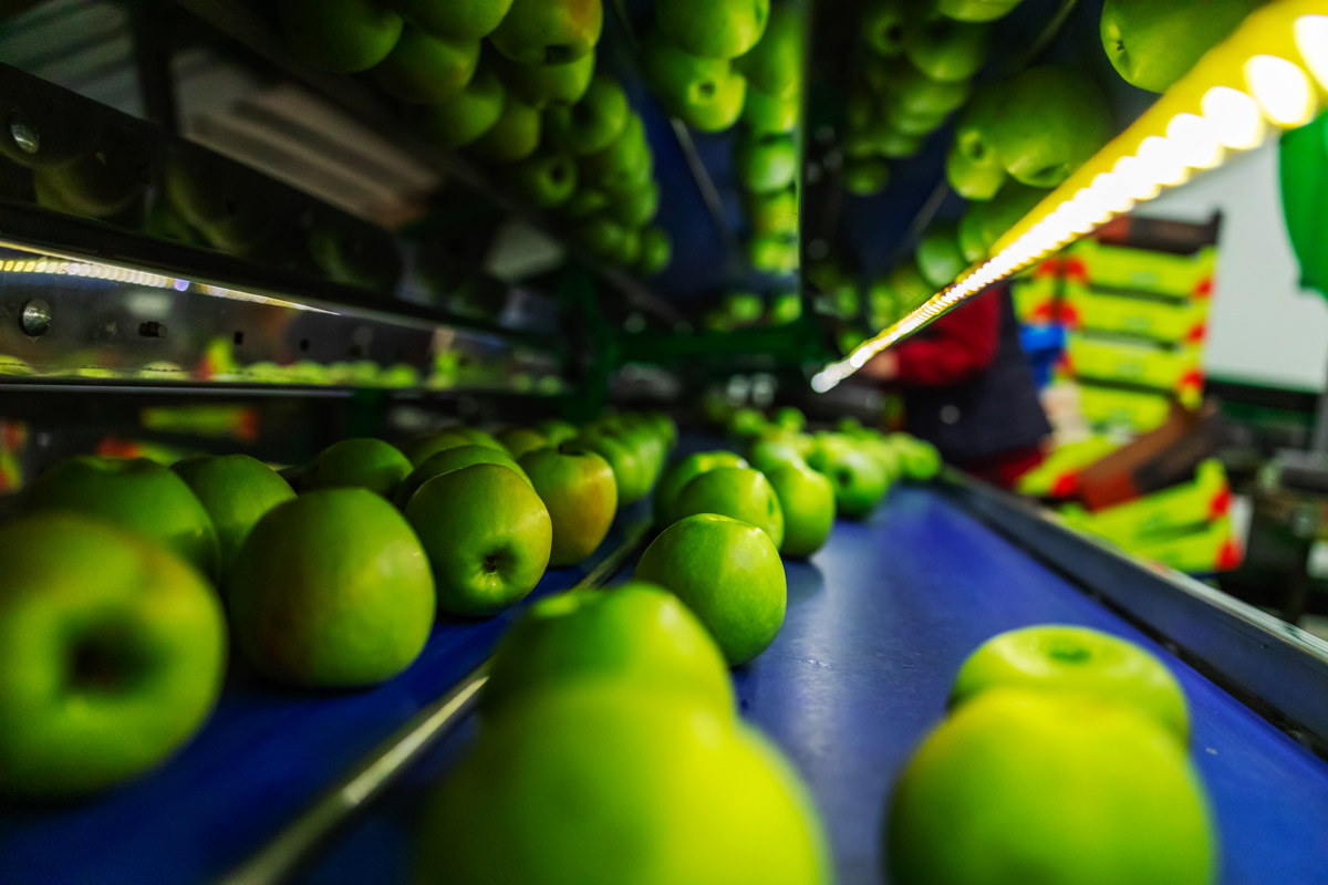 Secteur agroalimentaire