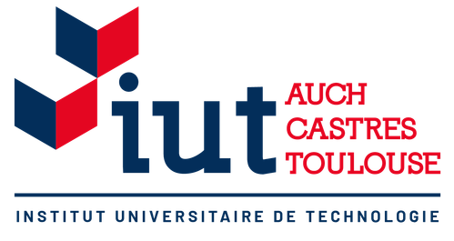 IUT castres auch toulouse