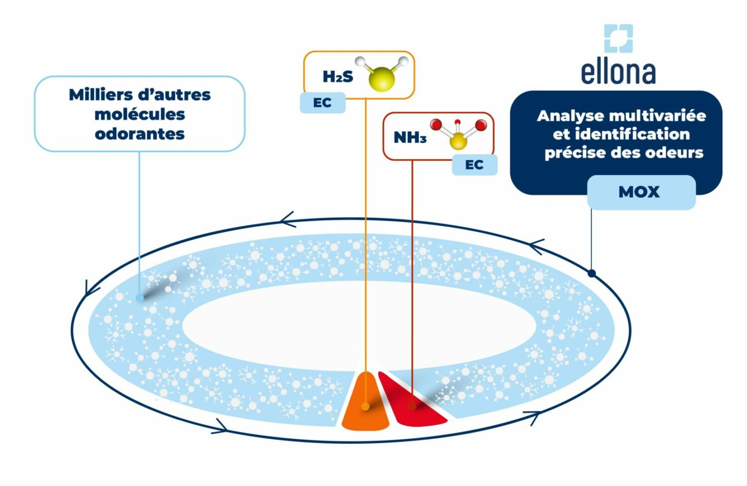 Ellona analyse odorants moléculaires et identification précise des odeurs